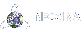 INFOVINA — Info Vietnam Technology